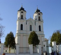 Seinų katedra
